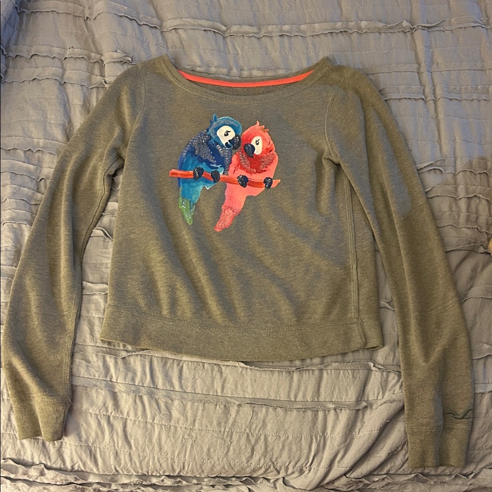 Hollister Gray Sweater with Parrot Pair Design size XS
